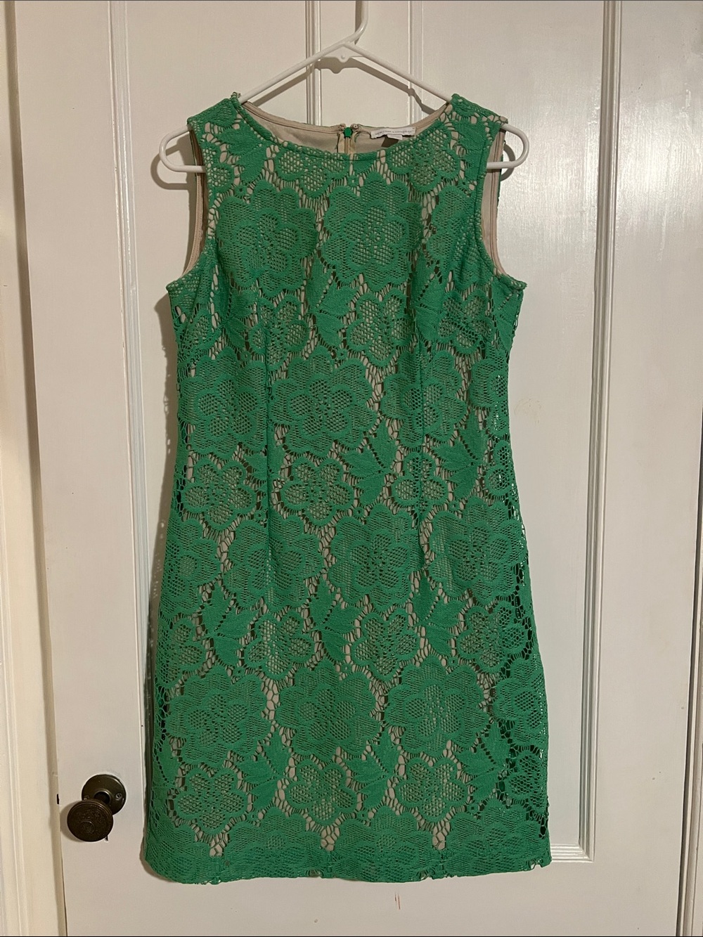 New York & Company Green Floral Lace Sleeveless Mini Dress